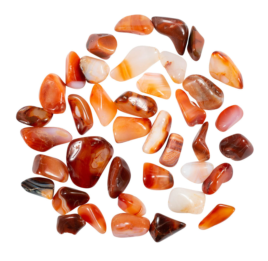 81A7-Rq1loL_460x@2x.jpg?v=